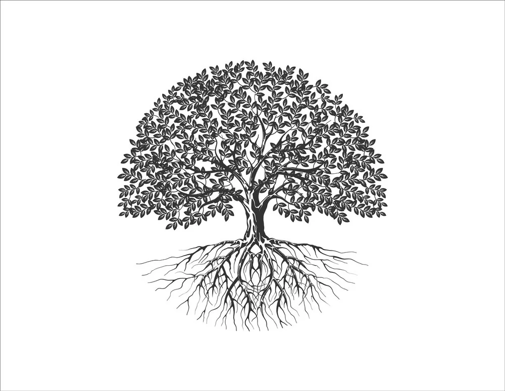 Tree and roots illustration